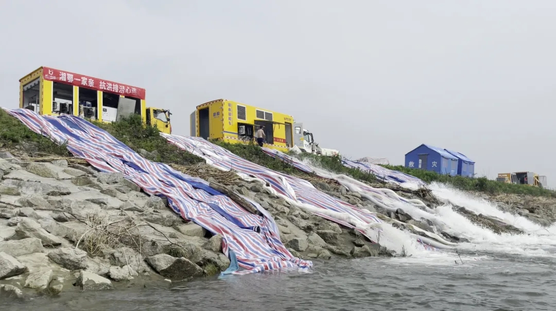 2025020510309511.jpg 2.webp.jpg