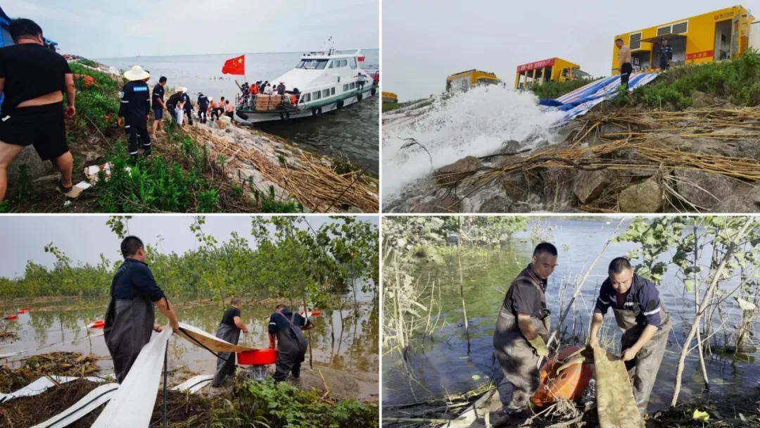 2025020688937293.jpg 9.webp.jpg