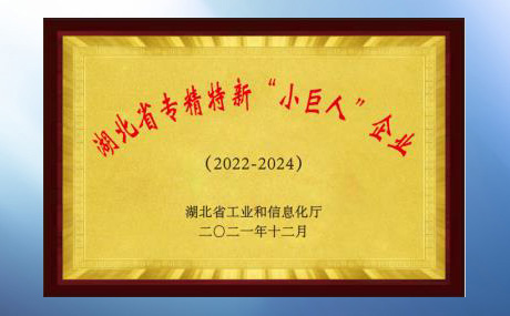 評定為湖北省專精特新“小巨人”企業(yè)